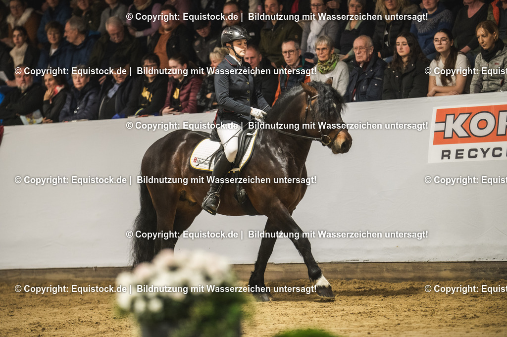 20240302_Hengstvorstellung_Marbach_TOMsPiC_0282 | equistock