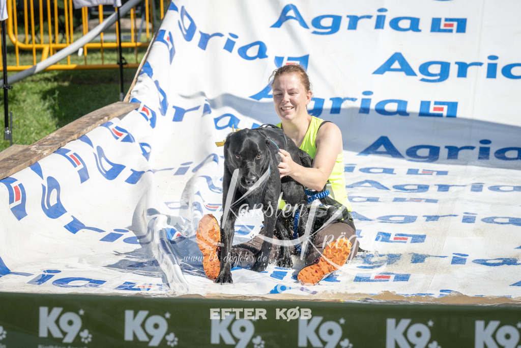 1145_ZZ93872 | kk-dogfotos