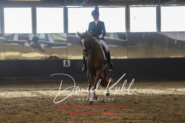 IMG_7322 | Turniersportfotografie; Pferdefotografie; Dressurfotografie