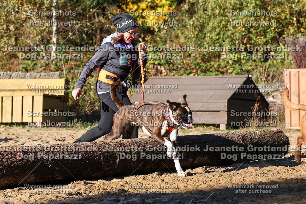 Dog Paparazzi - Strongdog 10-25-1388 | Dog Paparazzi Jeanette Grottendiek Fotografie & Videografie - Realisiert mit Pictrs.com