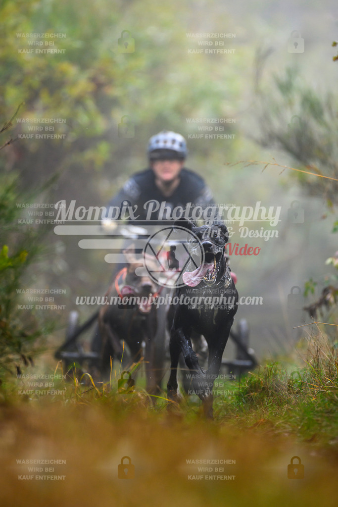 MompixPhotography_20TSB_E4_Kart-16 | PayLife