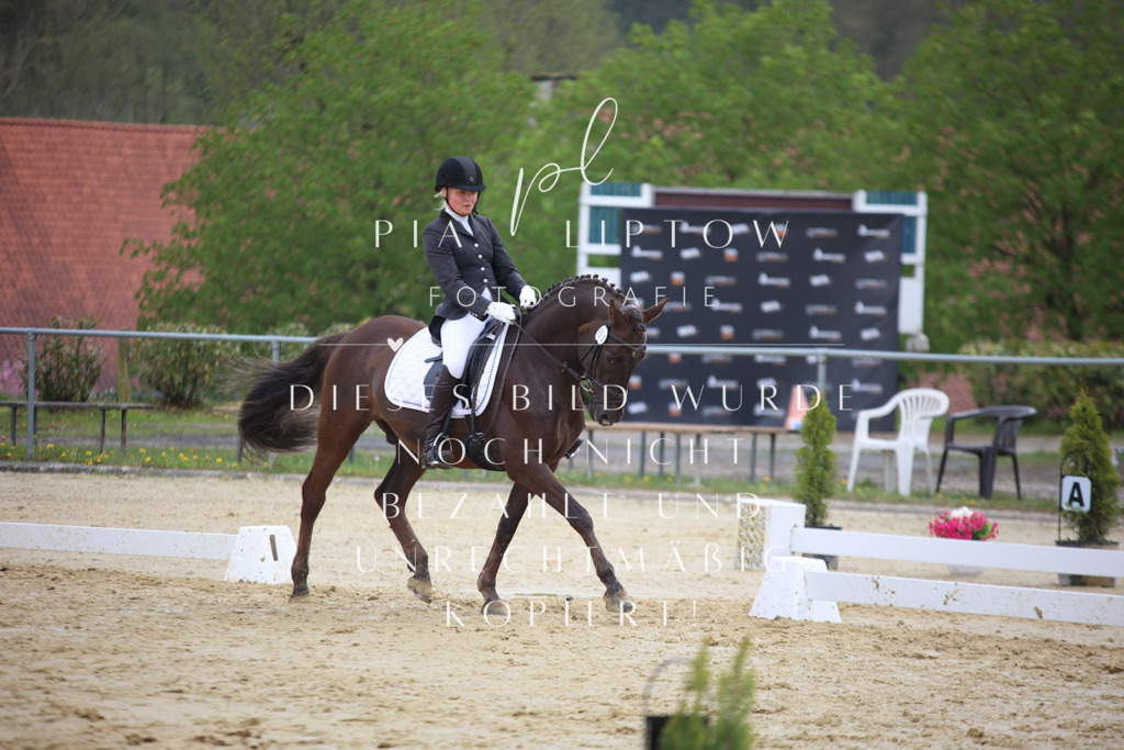 IMGT5976 | pl-fotografie