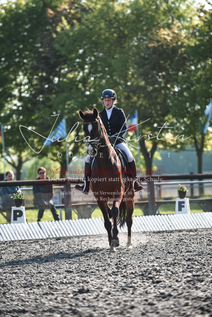 DSC_8285 | Pferde- und Turnierfotografie in Westsachsen. Pferdeportraits, Auftragszeichnungen und intuitive Kunst.