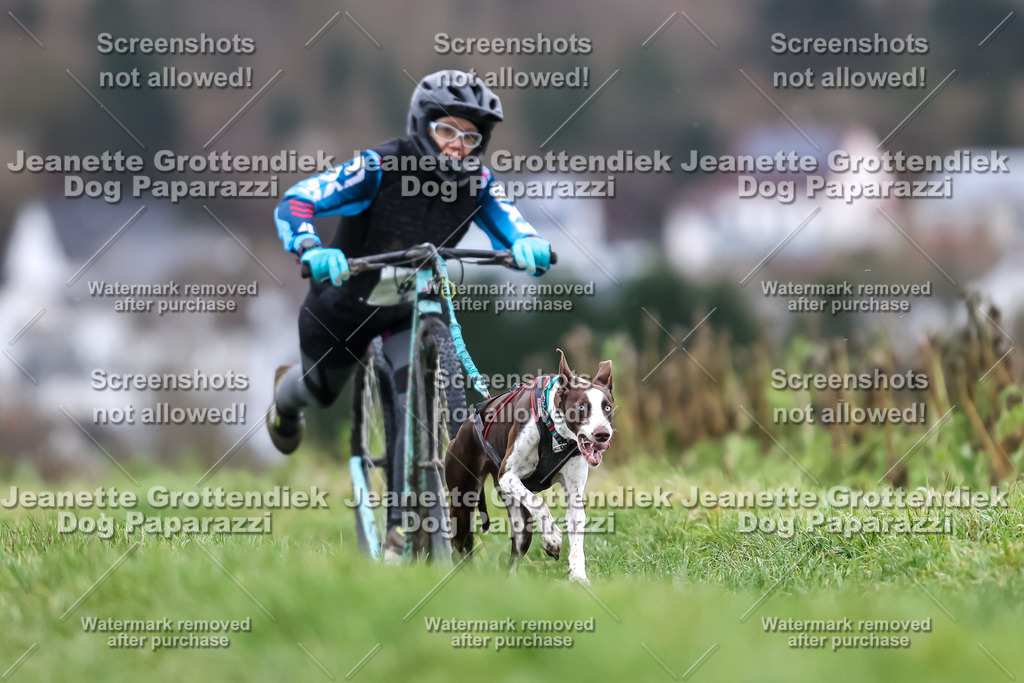 Dog Paparazzi - Herkules Race  2025-23 | Dog Paparazzi Jeanette Grottendiek Fotografie & Videografie - Realisiert mit Pictrs.com