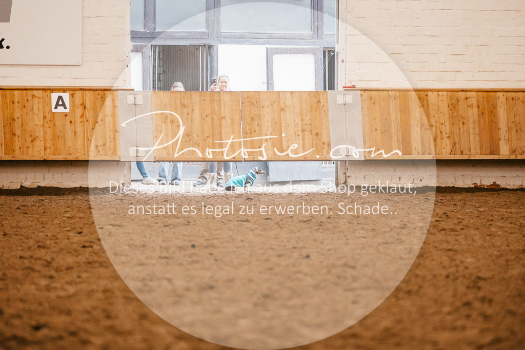 3I6A6824 | Stimmungsvolle Portraits und Reitsportfotografie im Ruhrgebiet und im Münsterland.

Pferdefotografie, Hundefotografie, Tierfotografie, Reportagen, Portraits von Tier und Mensch, Turnierfotografie in Bochum, Recklinghausen, Marl, Haltern am See, Dülmen.. - Realisiert mit Pictrs.com