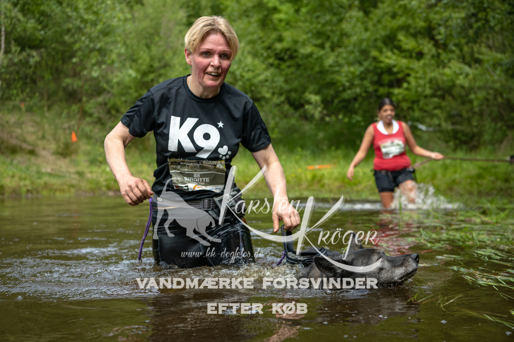 1116DKK994601 | kk-dogfotos