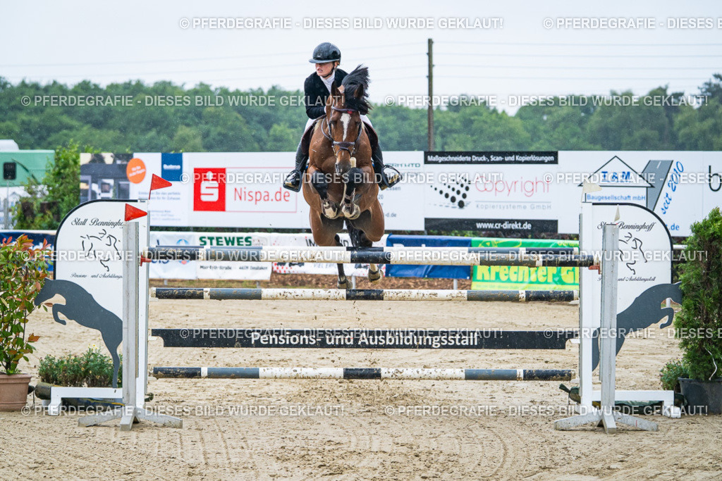 DSC09928 | Pferdegrafie