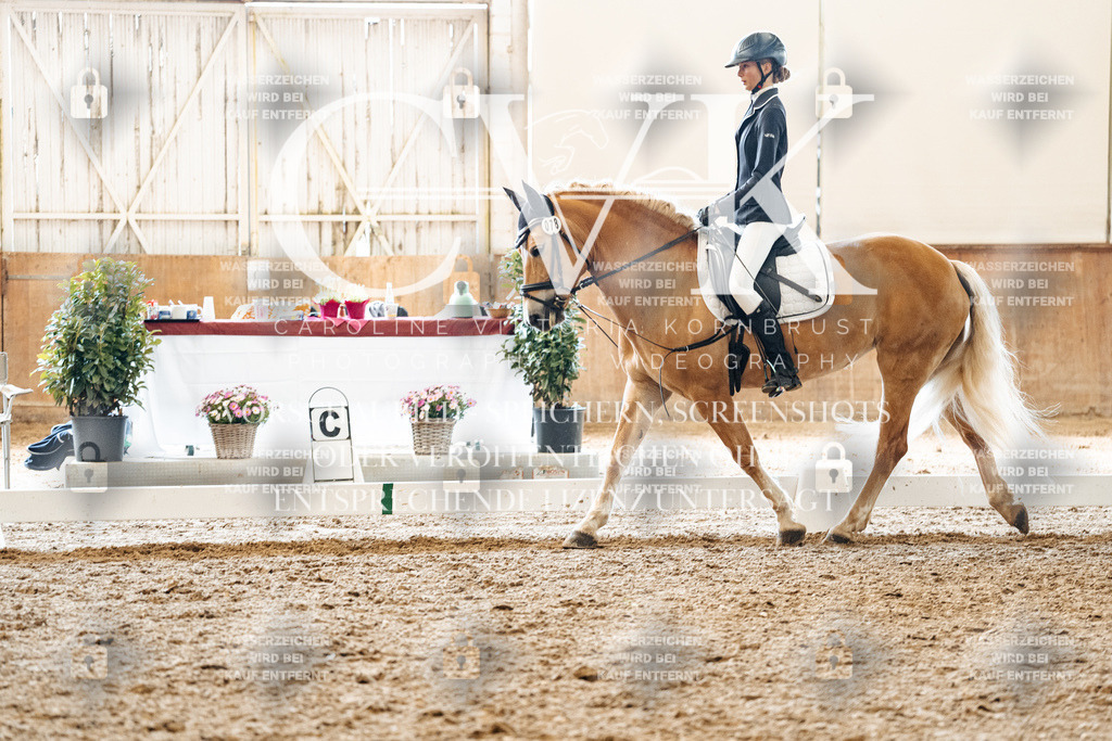 CK900143 | Turnierfotografie Pferdefotografie Trier Rheinland-Pfalz Pferdesport Reitsport Tierfotografie Sportfotografie Pferdevideo Pferdevideografie Equestrianvideography equestrianphotography  - Realisiert mit Pictrs.com