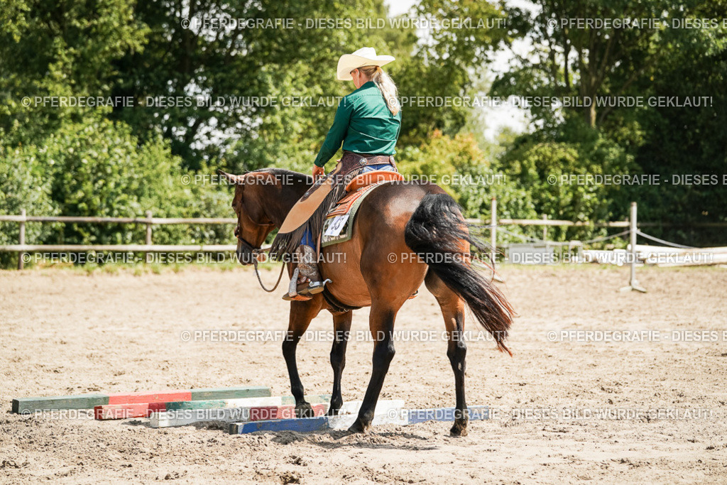 DSC09370 | Pferdegrafie