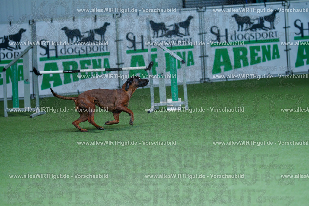 @allesWIRTHgut_Tierfotografie - www.allesWIRTHgut.de - 2604251235-7R502155 | Professionelle Tierfotografie in Mönchengladbach von Daniel Wirth (allesWIRTHgut). Liebevolle & natürliche Bilder von Hunden & Katzen für unvergessliche Erinnerungen.