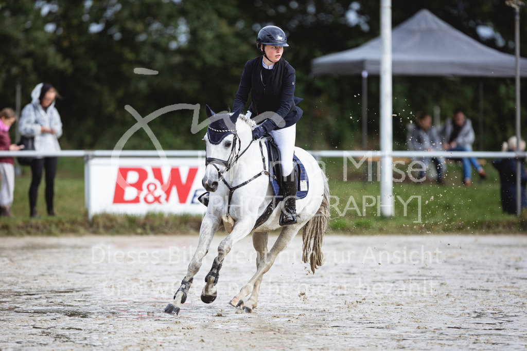 240615_CoesfeldLette_Stil-A-144 | Deine schönsten Turniermomente als professionelle Fotos! Entdecke hochwertige Pferdesport-Fotografie im Online-Shop. Jetzt Fotos finden & bestellen!