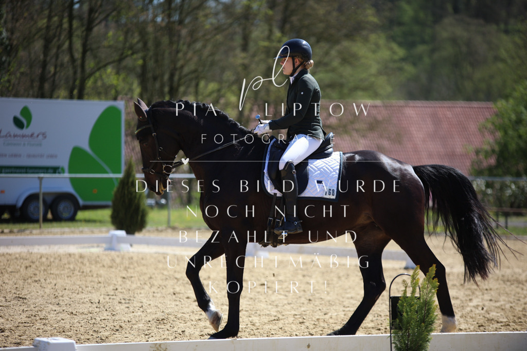 IMGT7746 | pl-fotografie