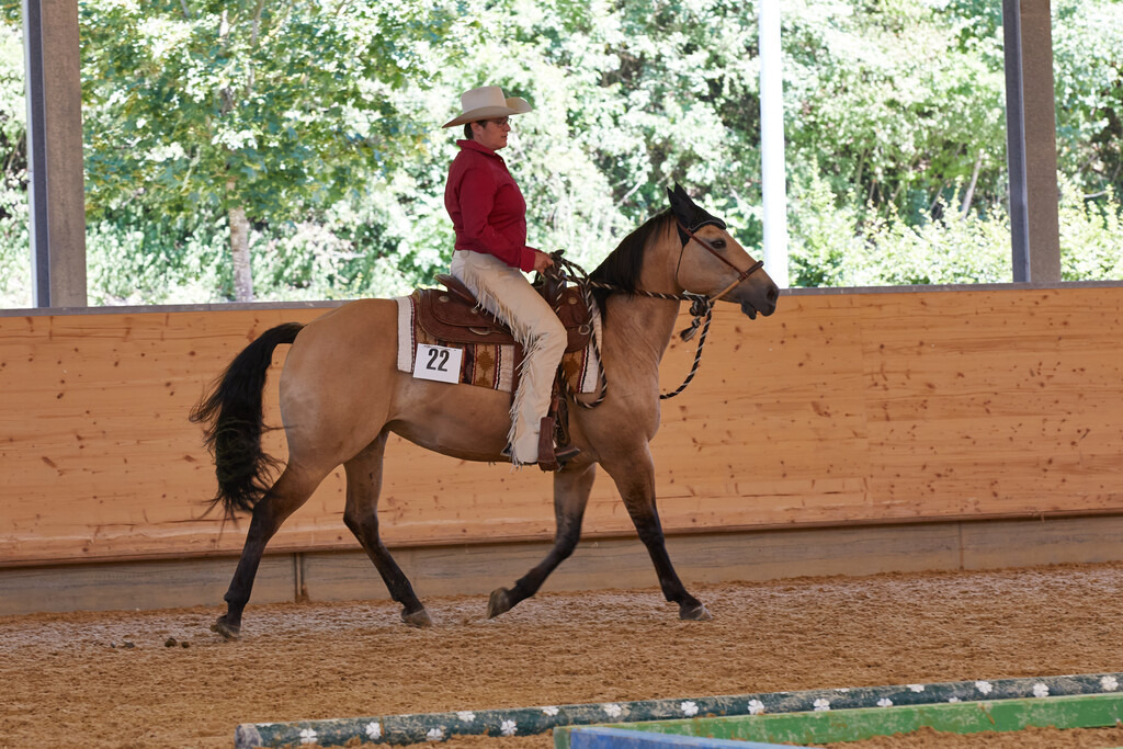 2020_07_19 Schweizersbild 113 | Peter Fridle Fotografie - Realisiert mit Pictrs.com