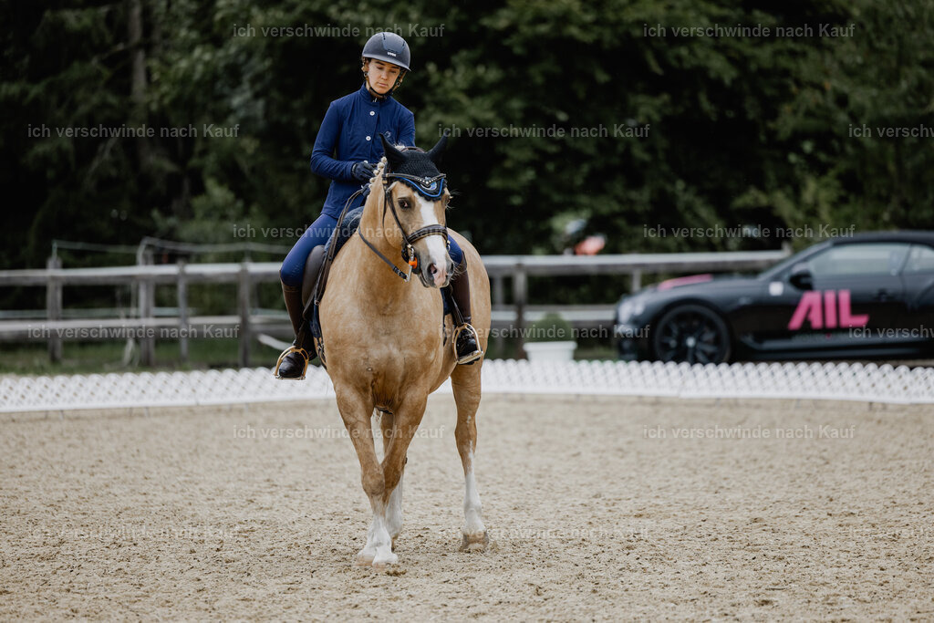 Nici11_FHC2025-24455 | working equitationturnier fotograf videograf stoibphotography marixx film working equitation deutschland reitsport turnierfotografie eventfotografie equestrian events