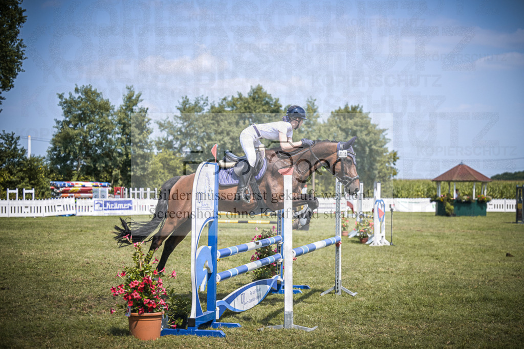 DOS_4653 | Entdecke hochwertige Reitturnierfotos von Foto Oger. Professionell, emotional und authentisch – jetzt Lieblingsmomente im Shop bestellen.Deutschlandweite Turnierfotografie. - Realisiert mit Pictrs.com