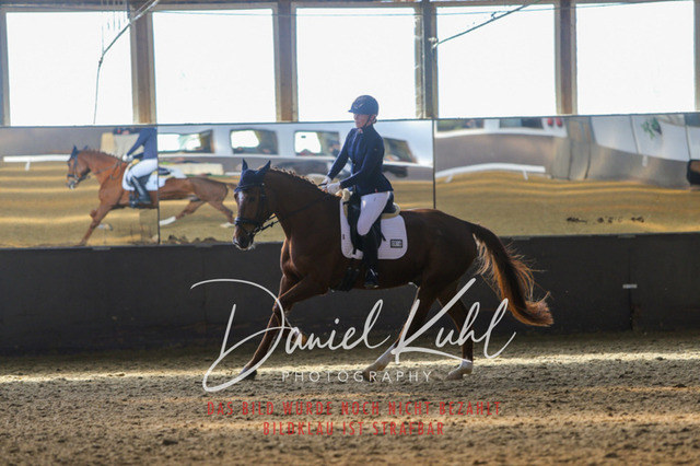 IMG_2323 | Turniersportfotografie; Pferdefotografie; Dressurfotografie