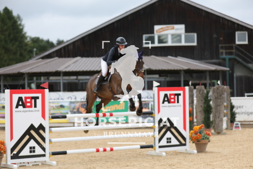 0P6A7750 | Willkommen bei Brunnmayr - Design & Fotografie – Ihrem Spezialisten für Reitturniere und Pferdeveranstaltungen in Oberösterreich, Salzburg und Bayern! Seit über 17 Jahren sind wir leidenschaftlich dabei.