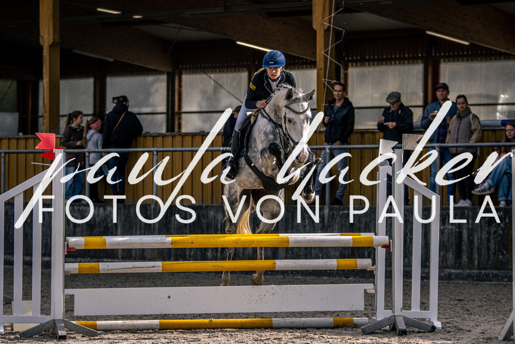 IMG_5808 | Erleben Sie dynamische Sport- und emotionale Tierfotografie in Süddeutschland mit Fotos von Paula. Spezialisiert auf Pferde- und Hundefotografie sowie Sportevents. Kontaktieren Sie mich für einzigartige und ausdrucksstarke Bilder Ihrer besonderen Momente.