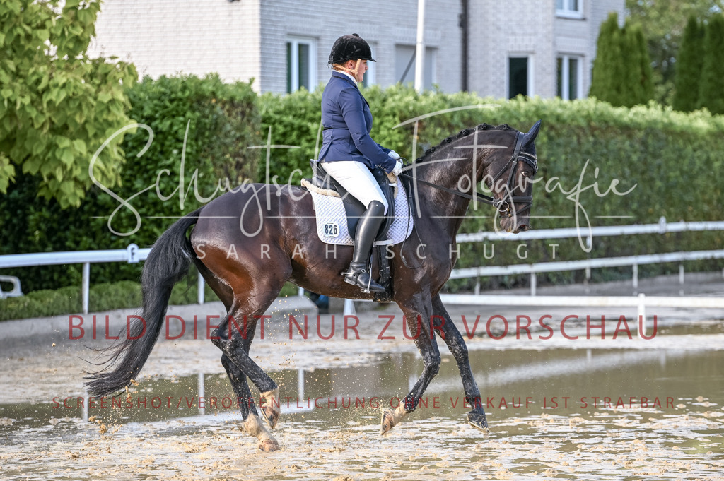 Schugtsche-Aluta25-54.Dressurprf.L1Trense-312 | Schugtsche Fotografie - Realisiert mit Pictrs.com