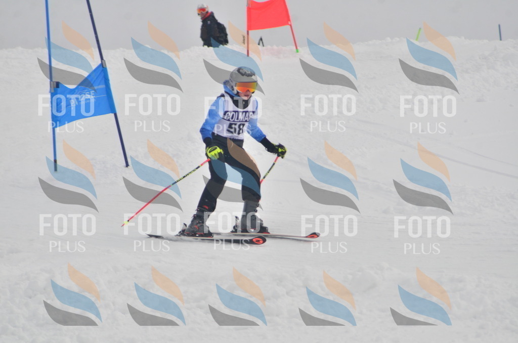 A5455 | holidayphoto