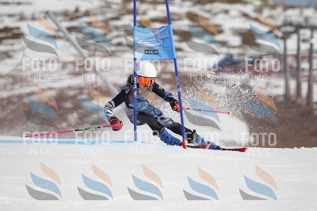 _U3G0531 | holidayphoto