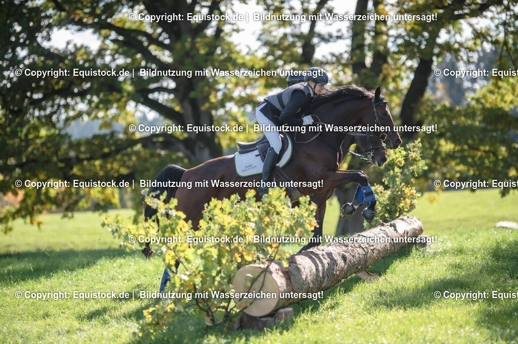 20251011_Jagd-Marbach_0435 | Foto: Thomas Hartig