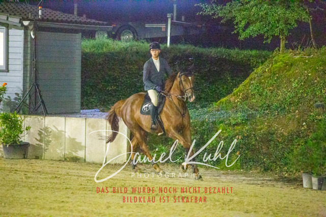 IMG_6328 | Turniersportfotografie; Pferdefotografie; Dressurfotografie