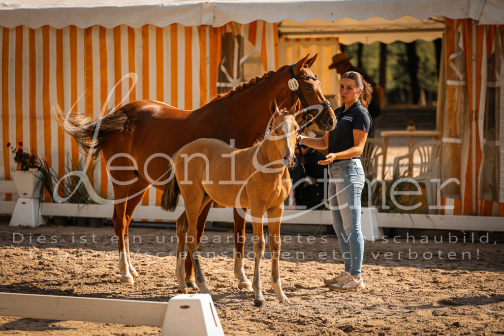 11.DoRP00132 | Leoni Ertmer Photography - Realisiert mit Pictrs.com