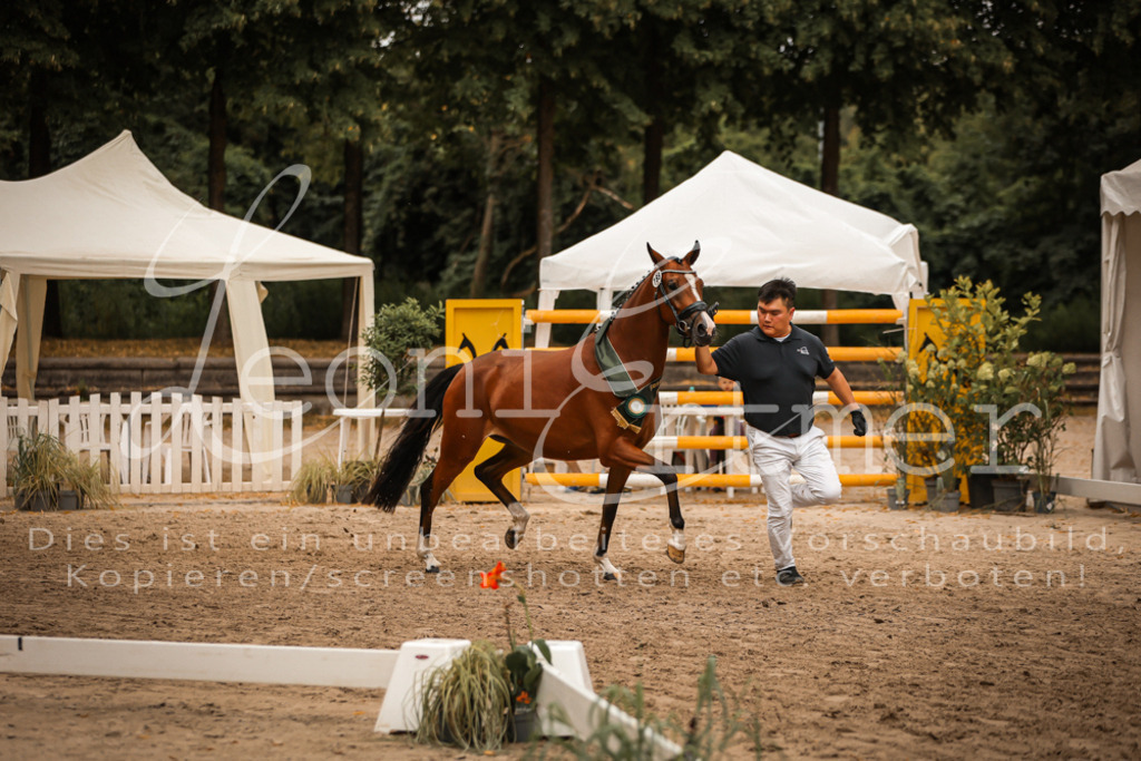 10.-12.Elite00137 | Leoni Ertmer Photography - Realisiert mit Pictrs.com