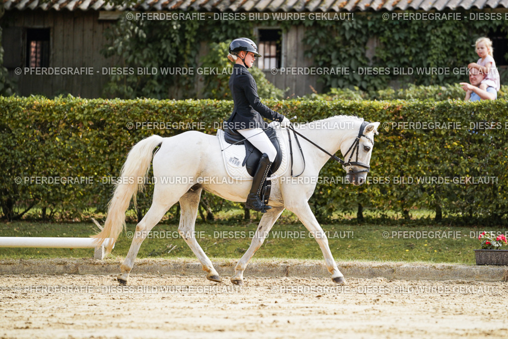 DSC04591 | Pferdegrafie