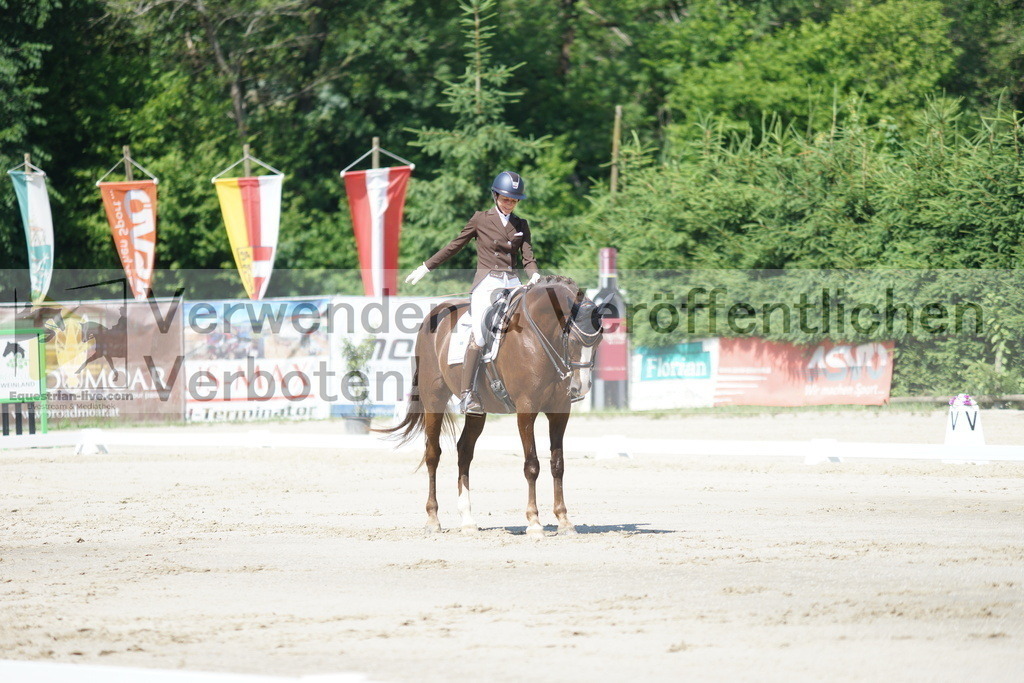 DSC03106 | equestrian-live-com