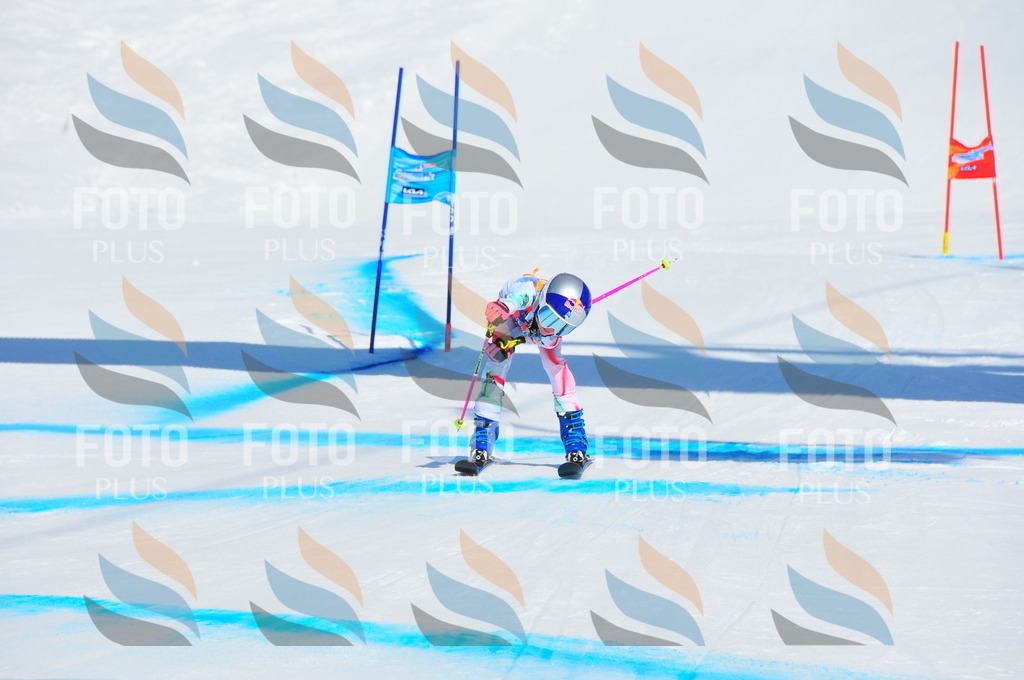 DSC_0779 | holidayphoto