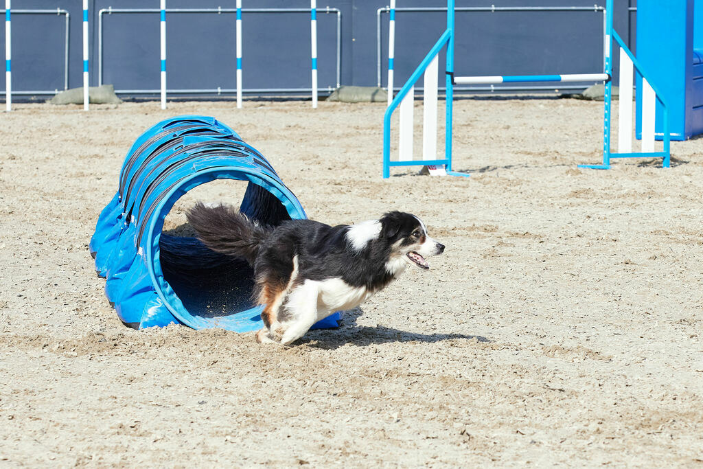 580A0074 | Peter Fridle Fotografie - Realisiert mit Pictrs.com