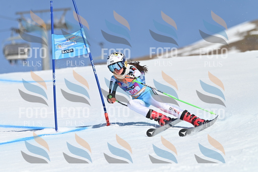 BGV_8648 | holidayphoto