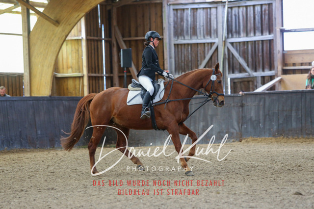 IMG_0825 | Turniersportfotografie; Pferdefotografie; Dressurfotografie