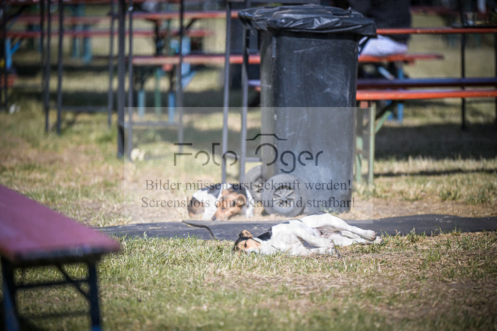 DOS_7609 | Entdecke hochwertige Reitturnierfotos von Foto Oger. Professionell, emotional und authentisch – jetzt Lieblingsmomente im Shop bestellen.Deutschlandweite Turnierfotografie. - Realisiert mit Pictrs.com