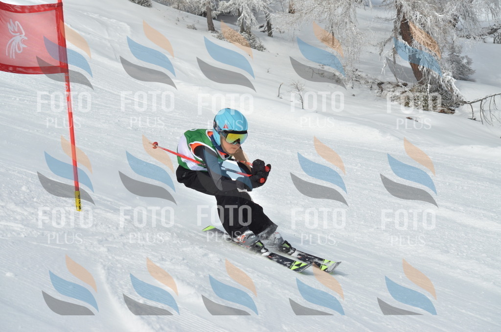 D8602 | holidayphoto