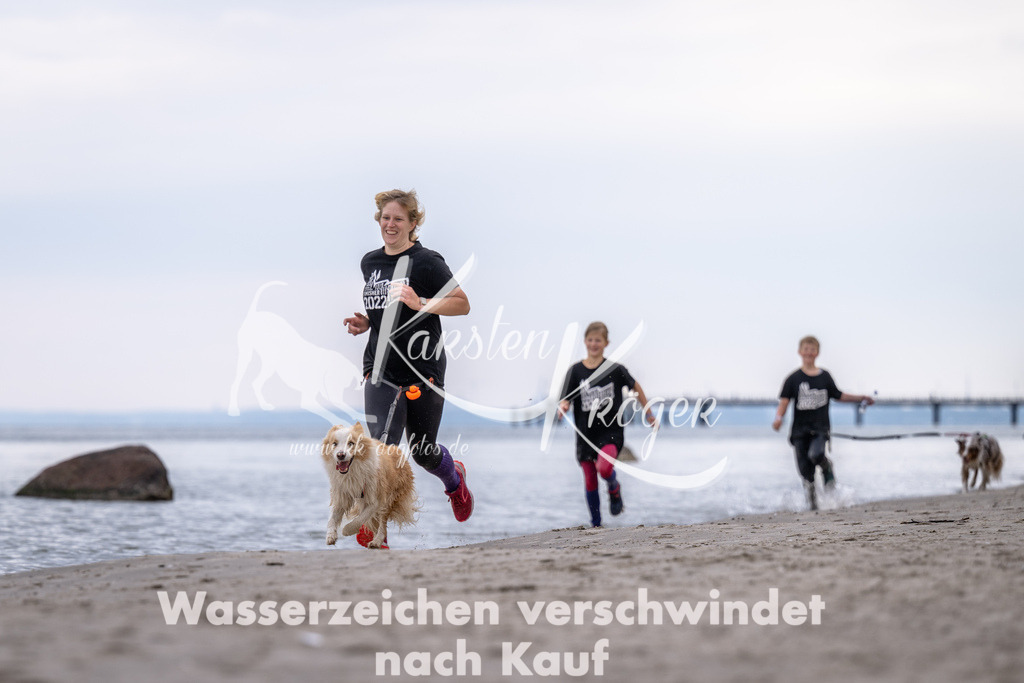 1120_ZZ91206 | kk-dogfotos