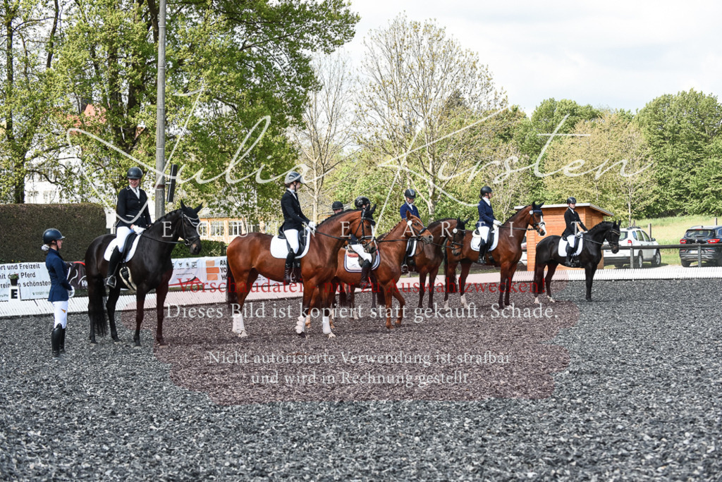 DSC_9068 | Pferde- und Turnierfotografie in Westsachsen. Pferdeportraits, Auftragszeichnungen und intuitive Kunst.