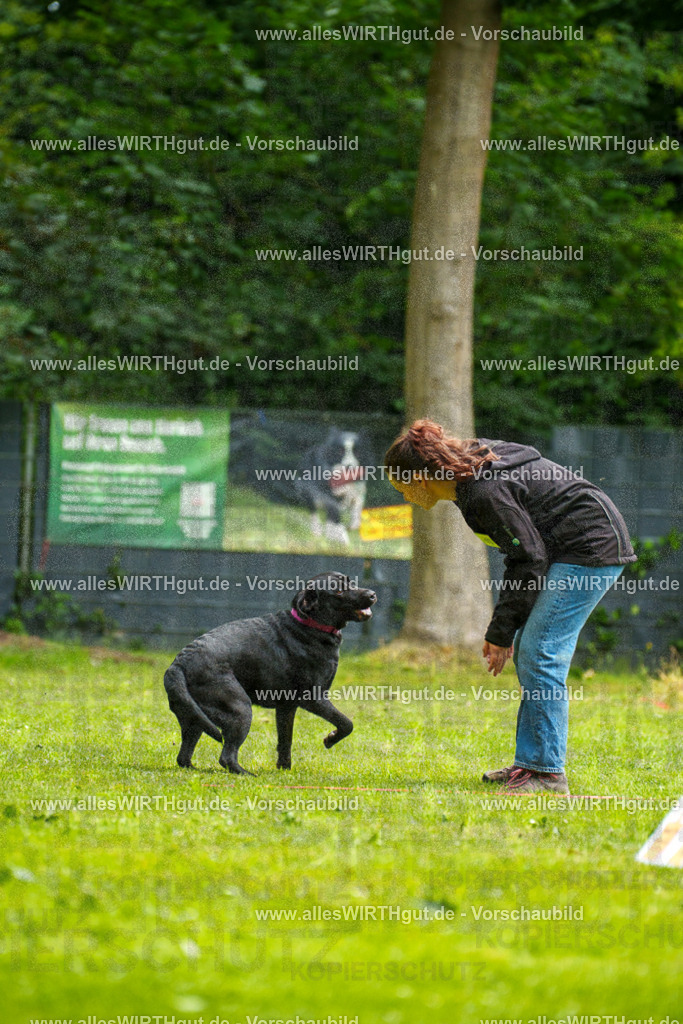 @allesWIRTHgut_Tierfotografie - www.allesWIRTHgut.de - 101727-7R508305 | Professionelle Tierfotografie in Mönchengladbach von Daniel Wirth (allesWIRTHgut). Liebevolle & natürliche Bilder von Hunden & Katzen für unvergessliche Erinnerungen.