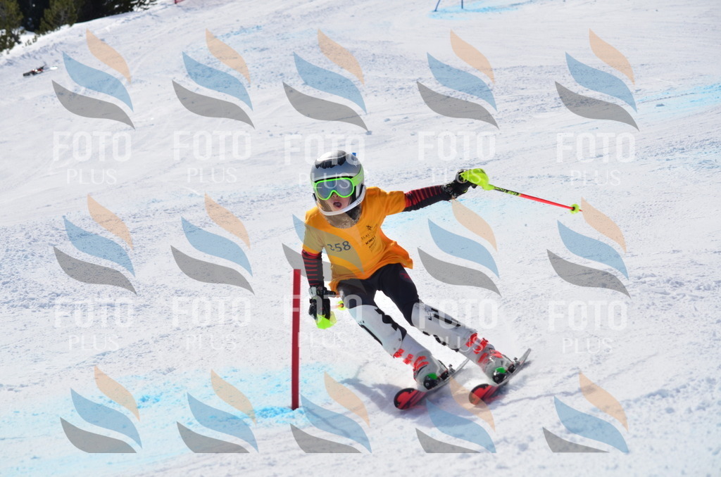 C9831 | holidayphoto