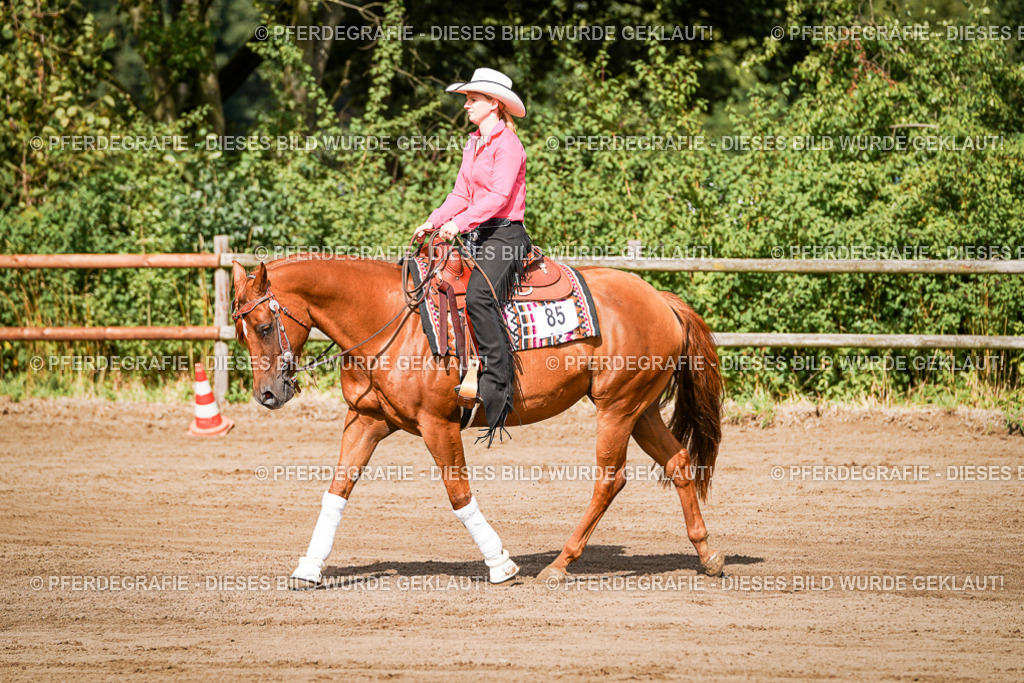 DSC09403 | Pferdegrafie