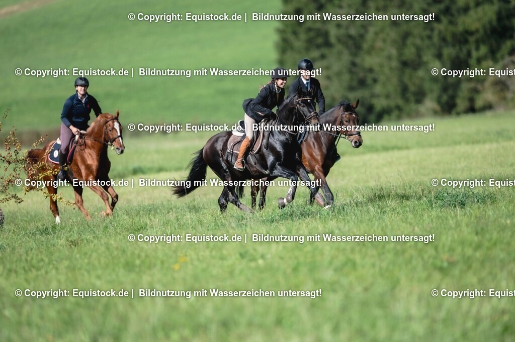 20251011_Jagd-Marbach_0253 | Foto: Thomas Hartig