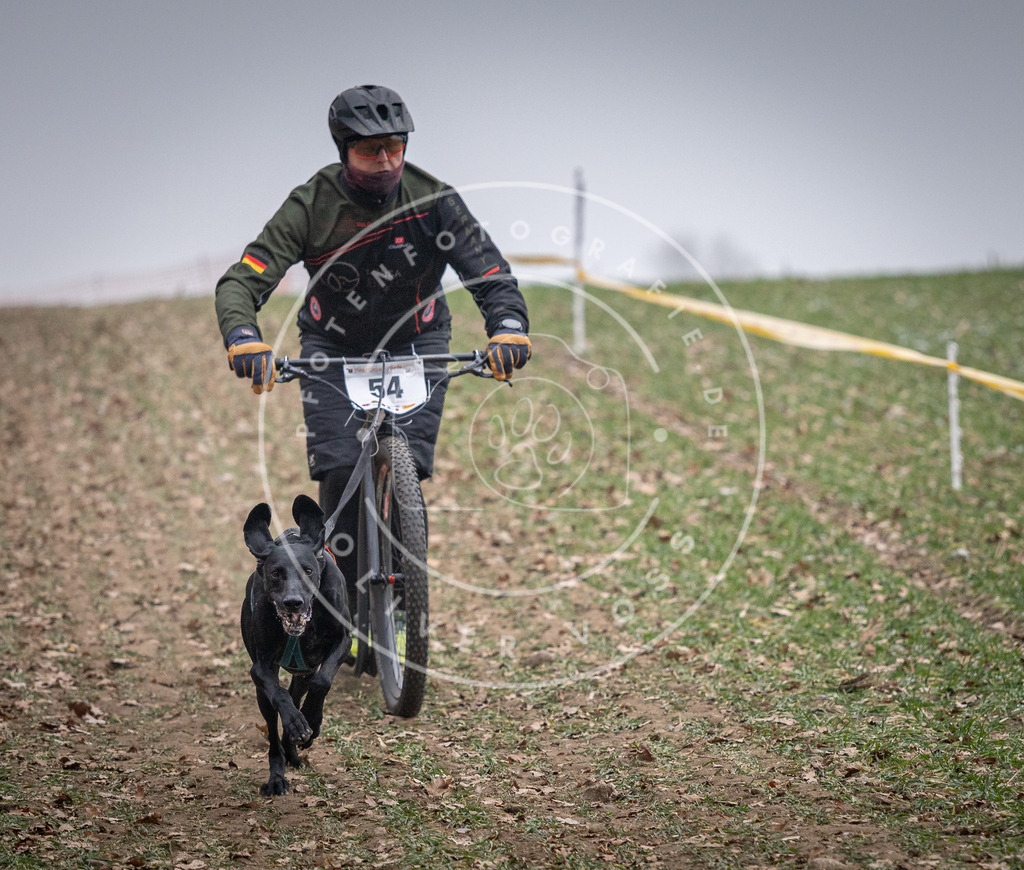 Pfotenfotografie_DV3A1125 | Hundefotografie, Tierfotograf, Pfotenfotografie, Fotoshooting Hund, Hunde Portrait, Hundesport, Hundeportraits, Heideshooting, Hunde, Sportfotograf, Hundefotograf, Turnierhundsport, THS,  - Realisiert mit Pictrs.com