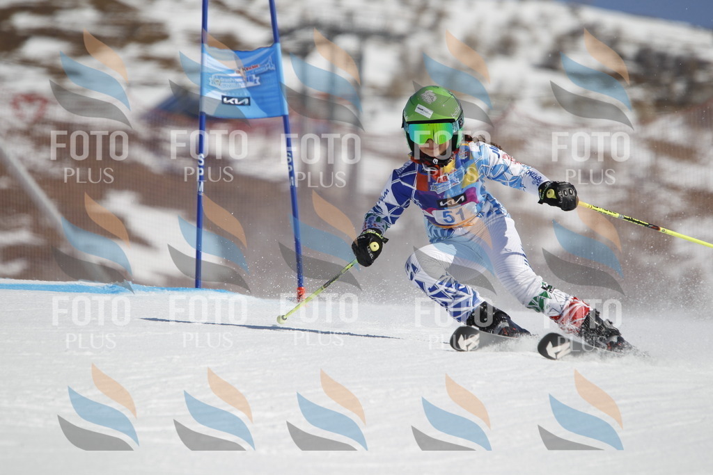 _U3G9418 | holidayphoto