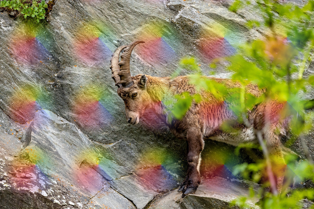 1M5A8166 | FineArtPrint, Hahnemühle, FeeGalerie, Fee Galerie, Fotokunst, Fotografie, Canonphotography, Bergfoto, Matterhorn, Rimpfischhorn, Allalinhorn, Saas-Fee, Wallis, Valais, Switzerland, Bergfotografie