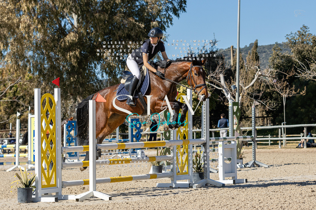 IMG_9996 | s-jay-photography - Realisiert mit Pictrs.com