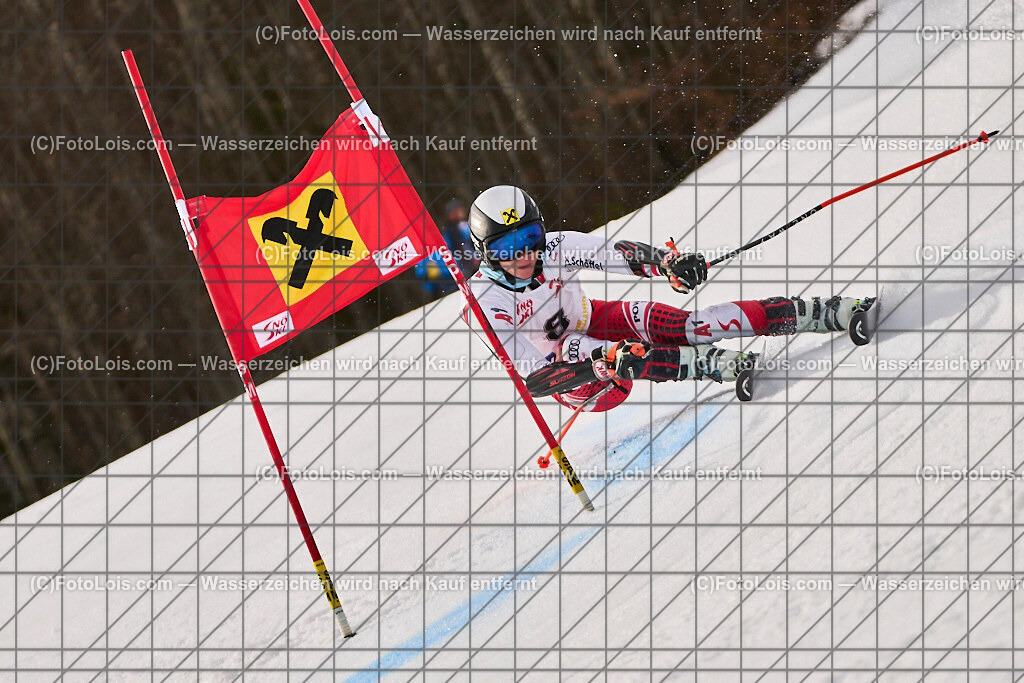 ALP7697_Herrn-FIS-GS-II_Lackenhof-WY_Schiestl Markus | Internationaler FIS GiantSlalom der Herrn auf der Distelpiste in Lackenhof am Di 11. März 2025.  Österreich, LSV-NÖ, Sportunion Waidhofen/Ybbs (2035).