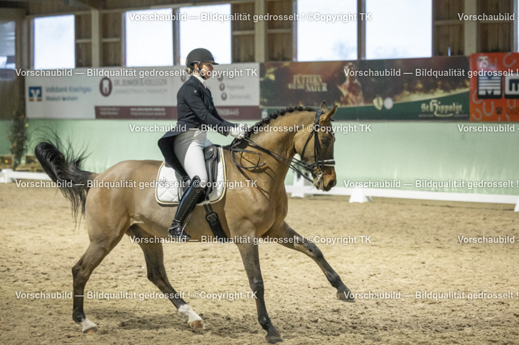 _D5A7202 | Emotionale Pferde- & People-Fotografie rund um Heidelberg, Leimen & Umgebung. Natürliche Fotos von Pferd, Mensch & Familie. Jetzt Termin sichern!