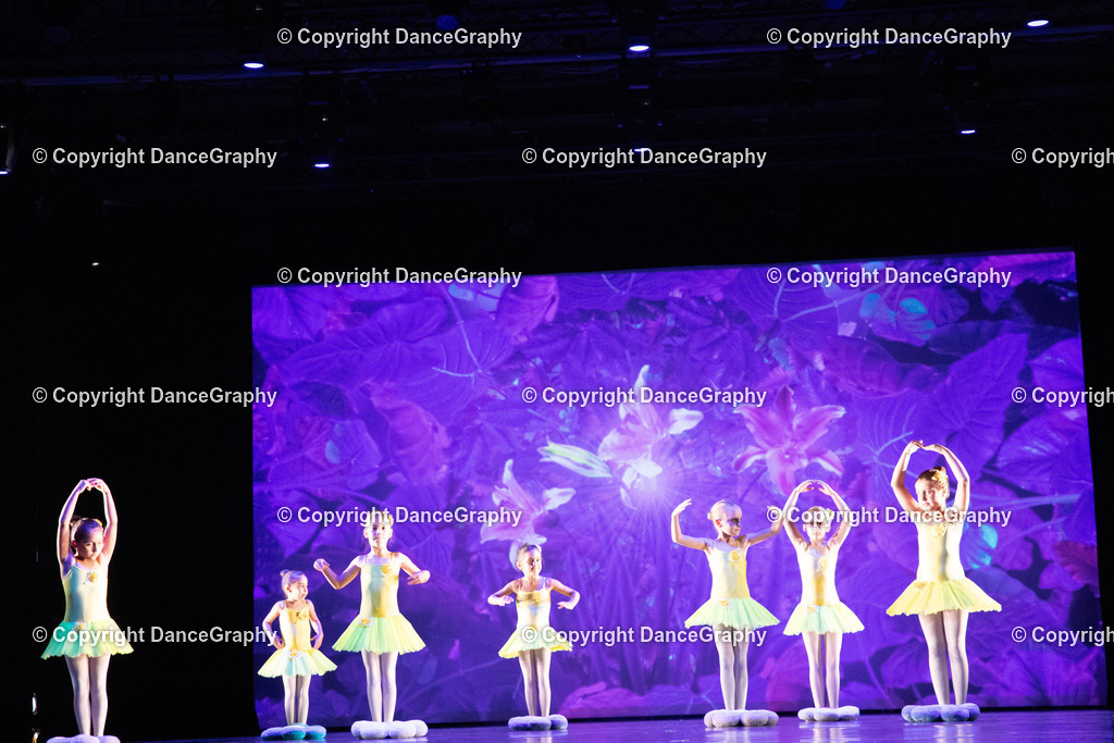 GPHY6244 | DanceGraphy - Realisiert mit Pictrs.com